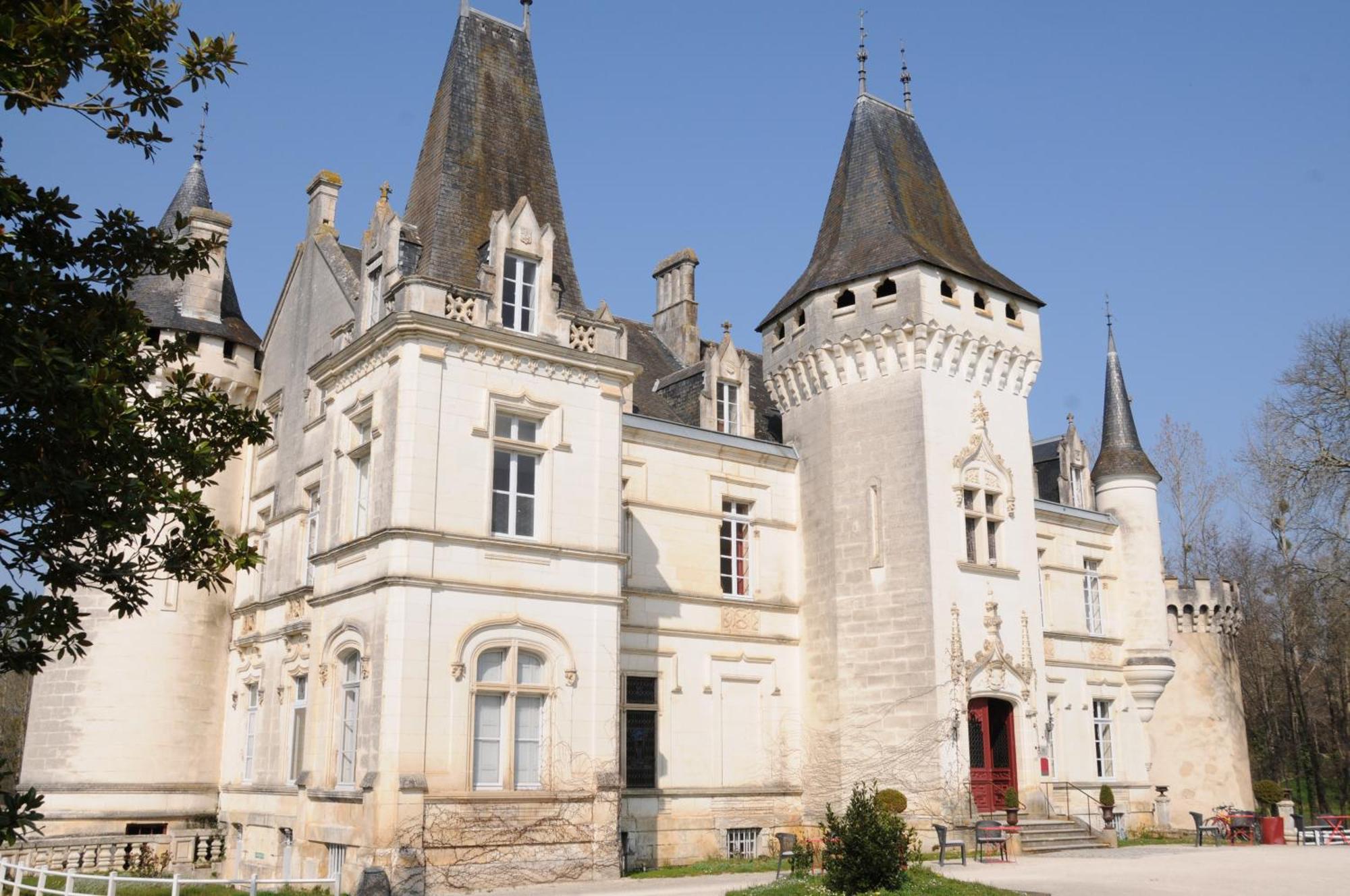 Chateau-Hotel De Nieuil Экстерьер фото