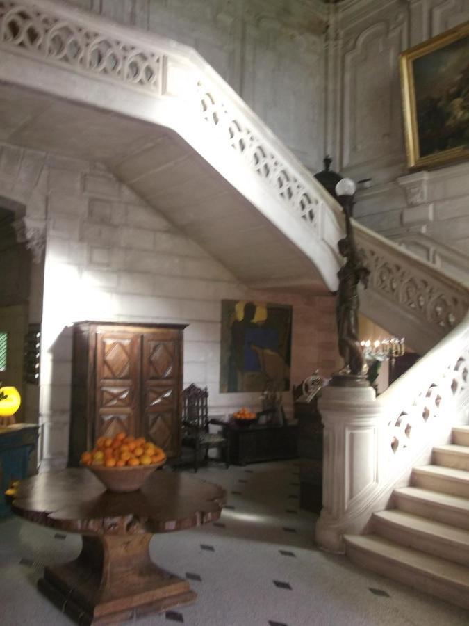 Chateau-Hotel De Nieuil Экстерьер фото